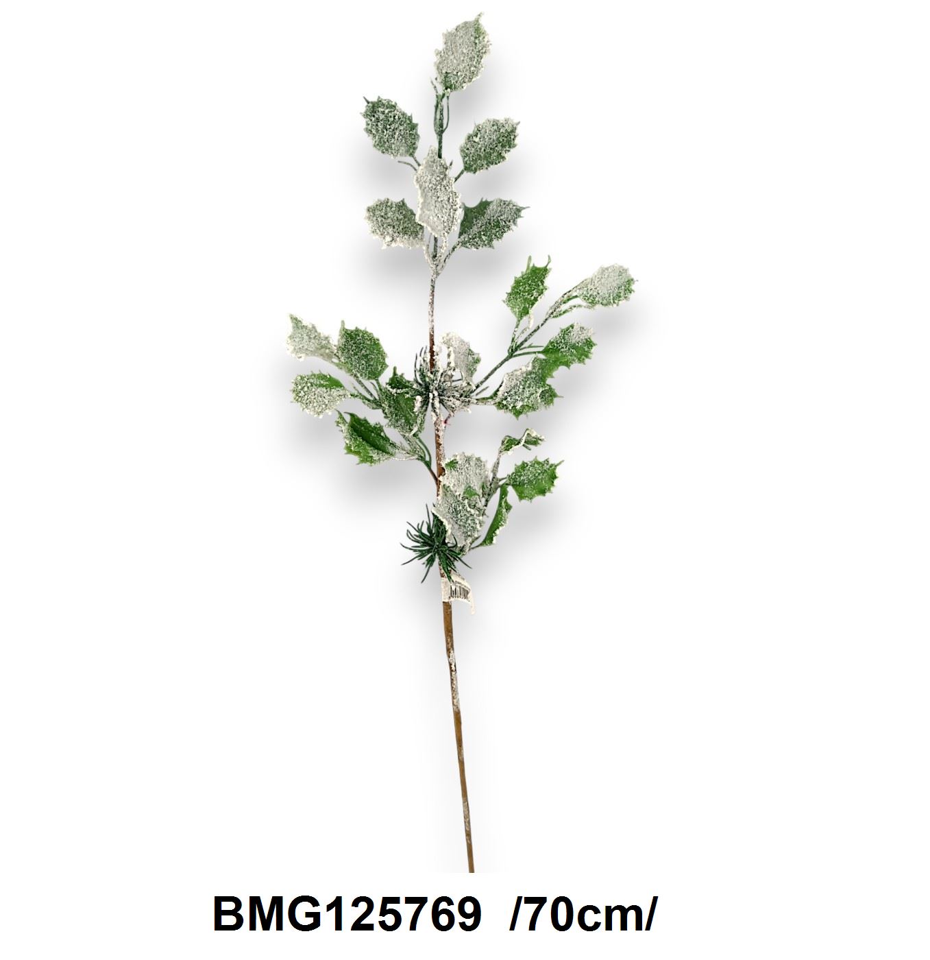 Havas ilex leveles ág /70cm/