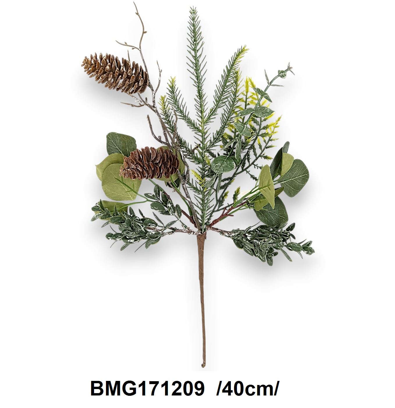 Különbözõ zöld leveles, eukaliptusz ág, tobozzal /40cm/