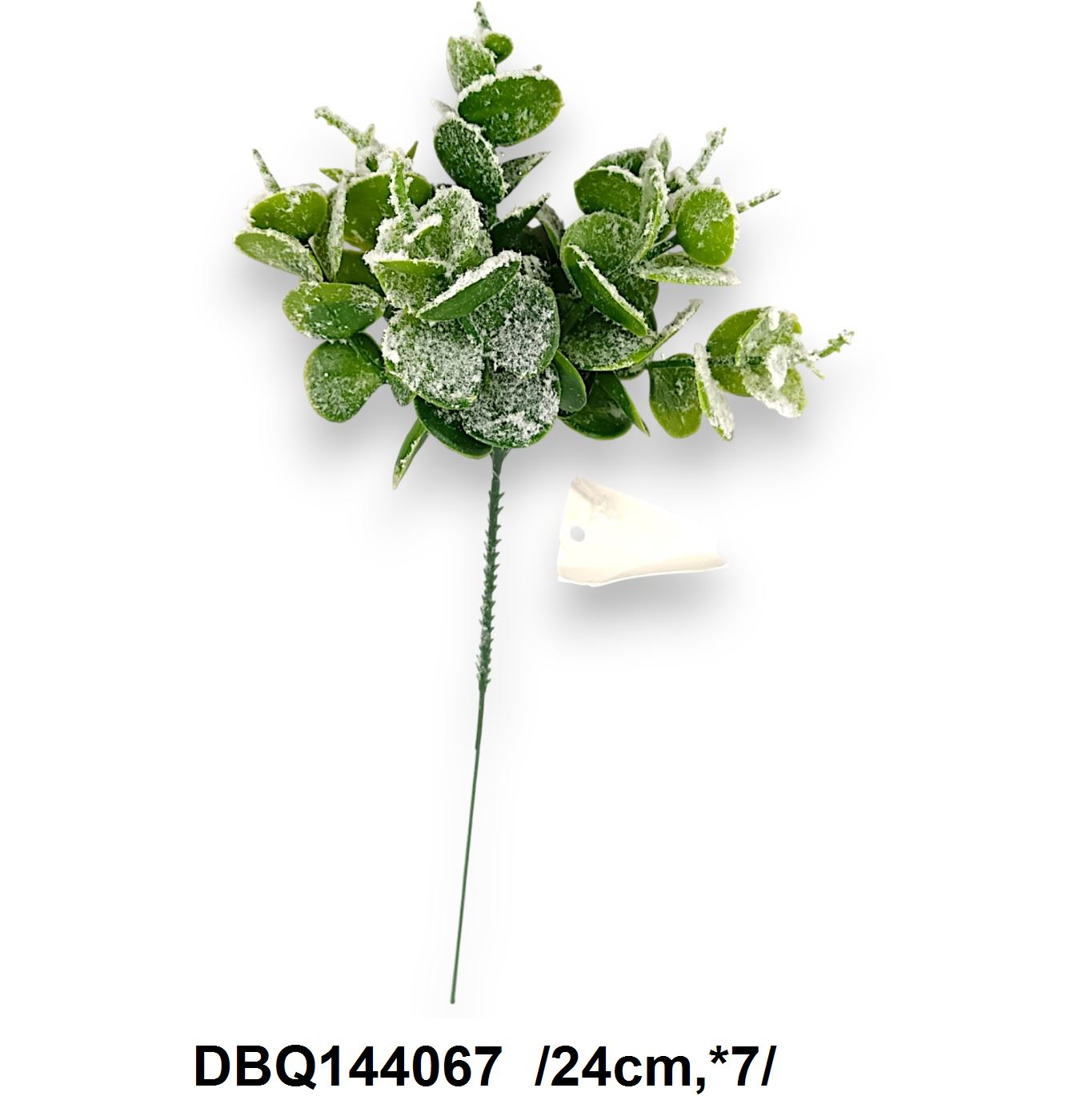 Havas eukaliptusz pick /24cm,*7/ [Termékdíj súly: 12g]