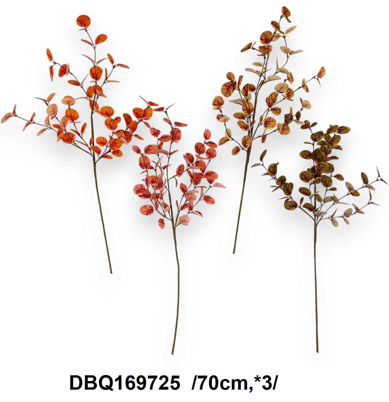 Eukaliptusz ág /70cm,*3/