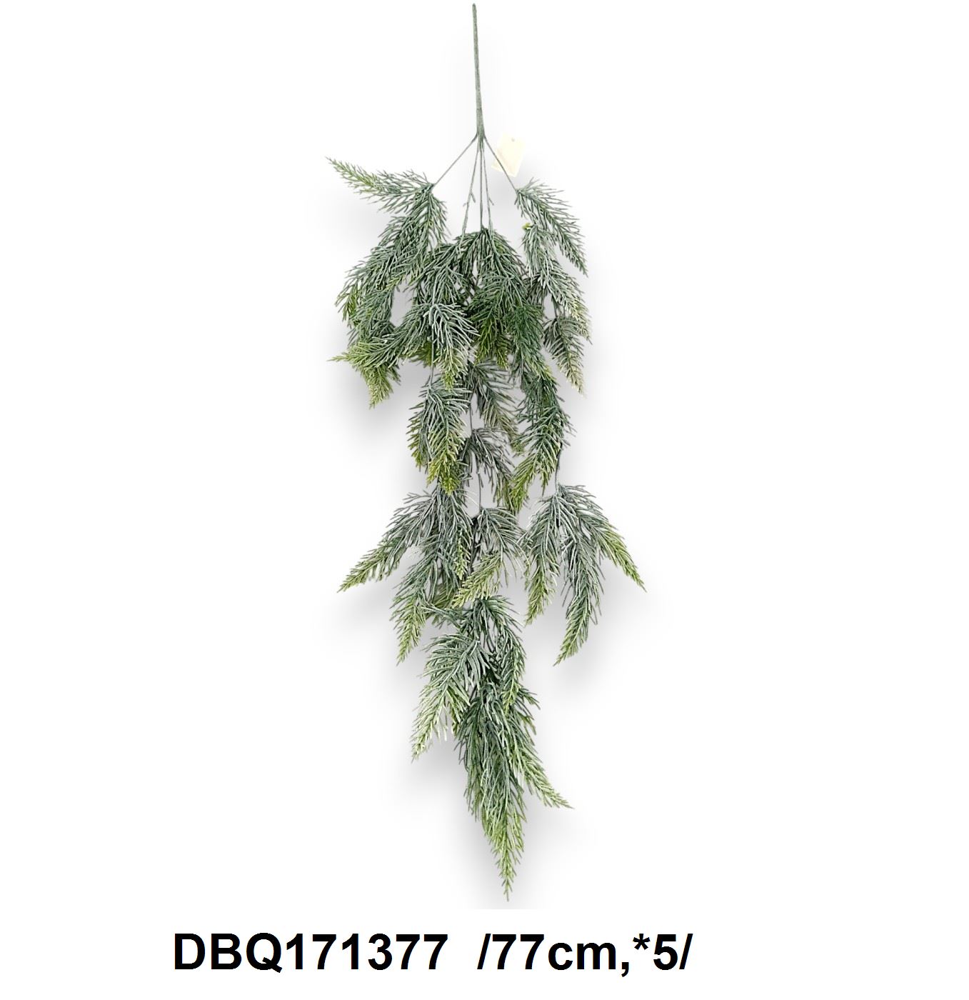 Hamvas fenyõ futó /77cm,*5/