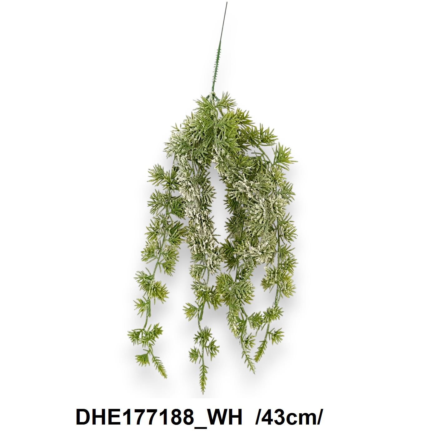 Havas bogáncsos kis futó /43cm/