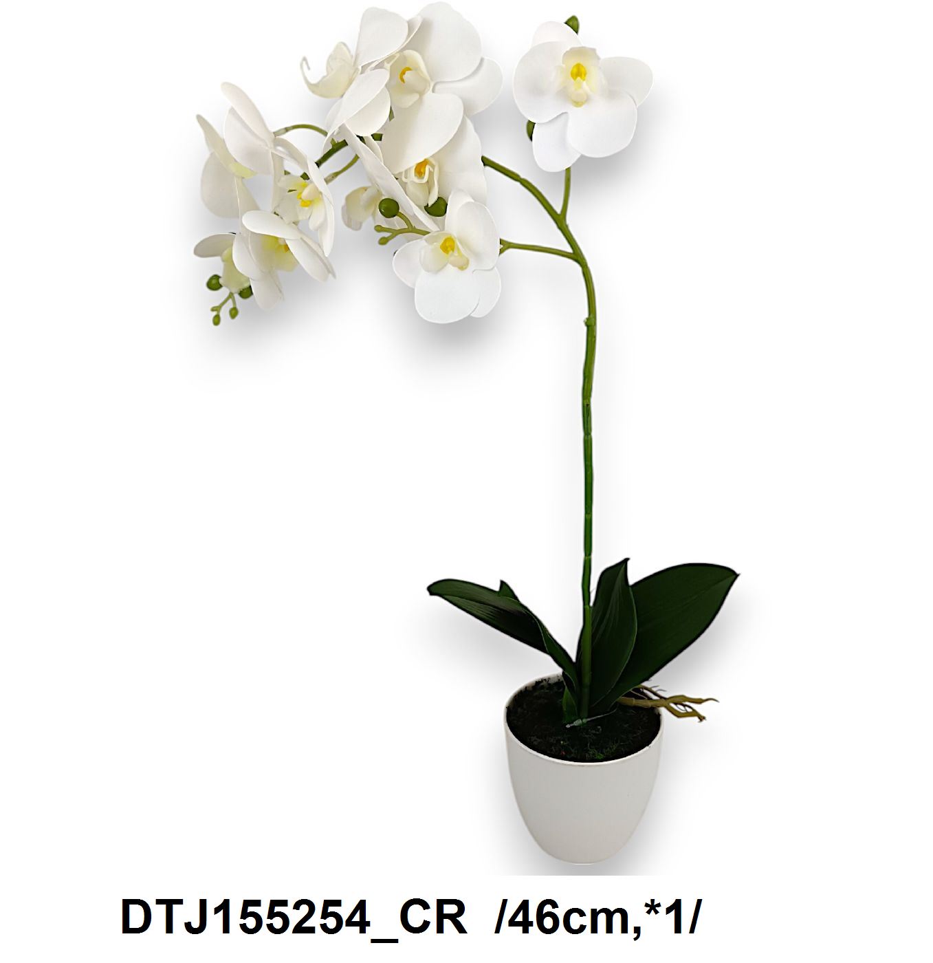 46 cm printelt leveles cserepes orchidea *1+ gyökérzet