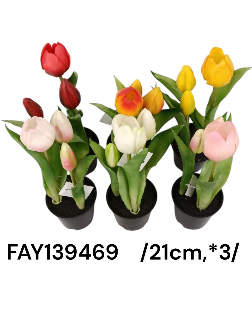 21 cm cserepes, bimbós gumi tulipán *3