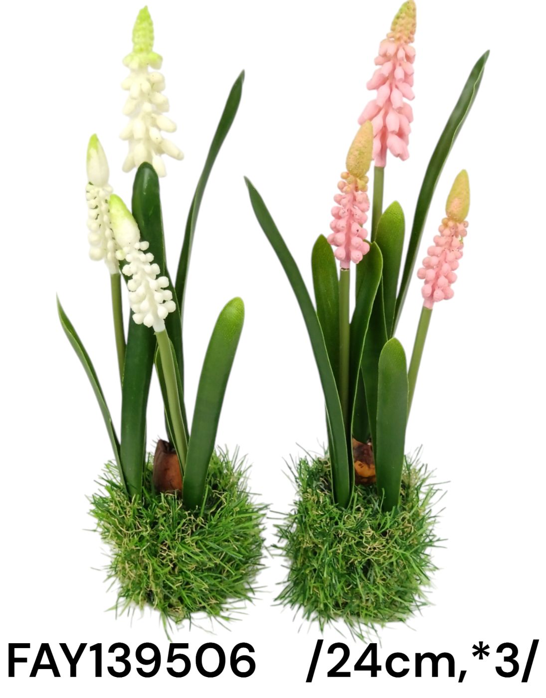 24 cm mûfüves, hagymás gyöngyike *3