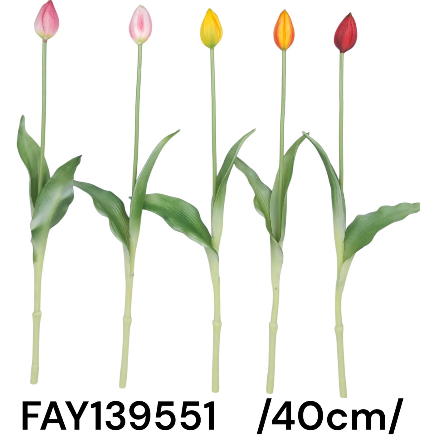 40 cm zárt 4,5 cm fejû szálas gumitulipán levelekkel