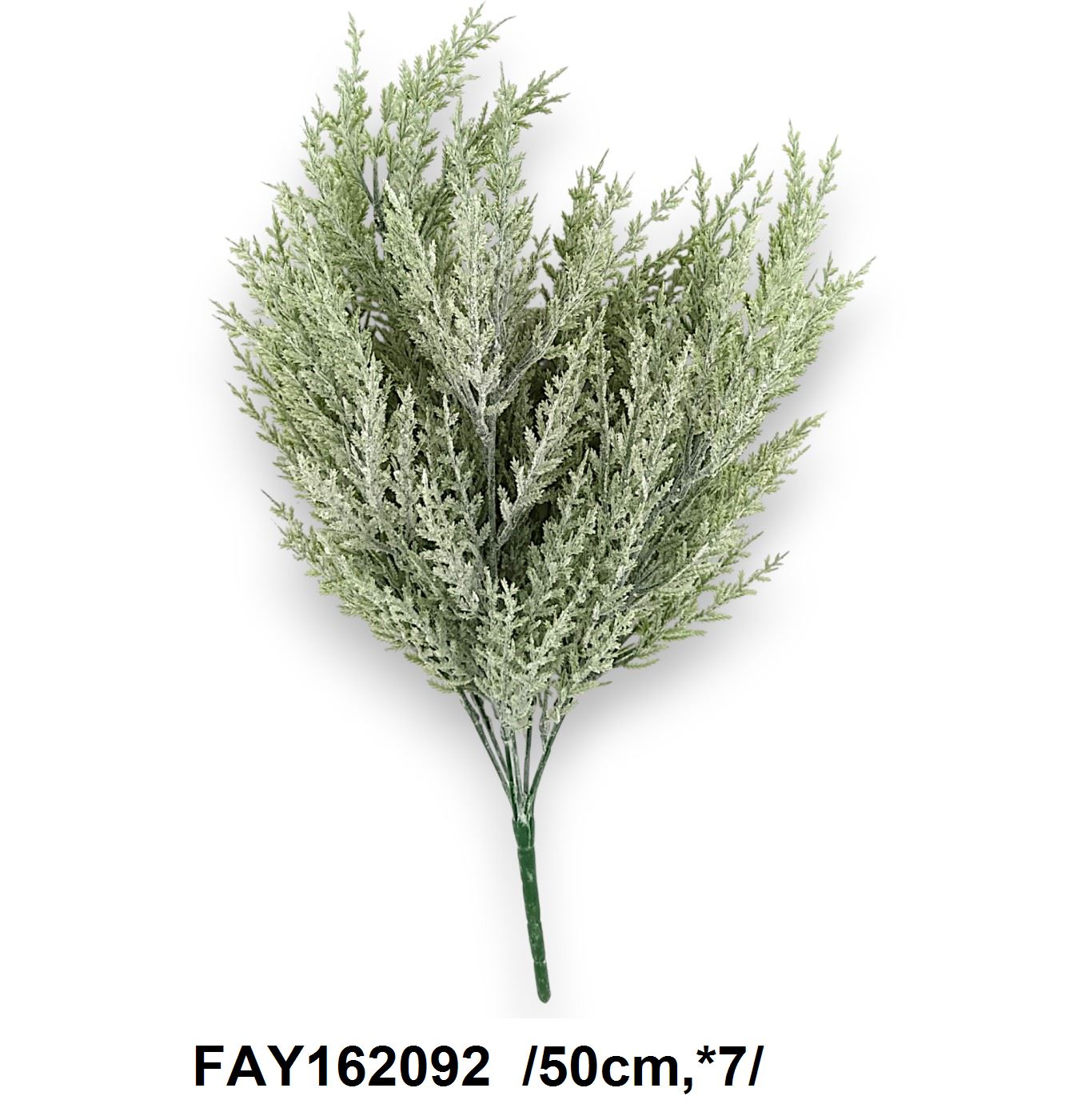 Jeges tujabokor /50cm,*7/