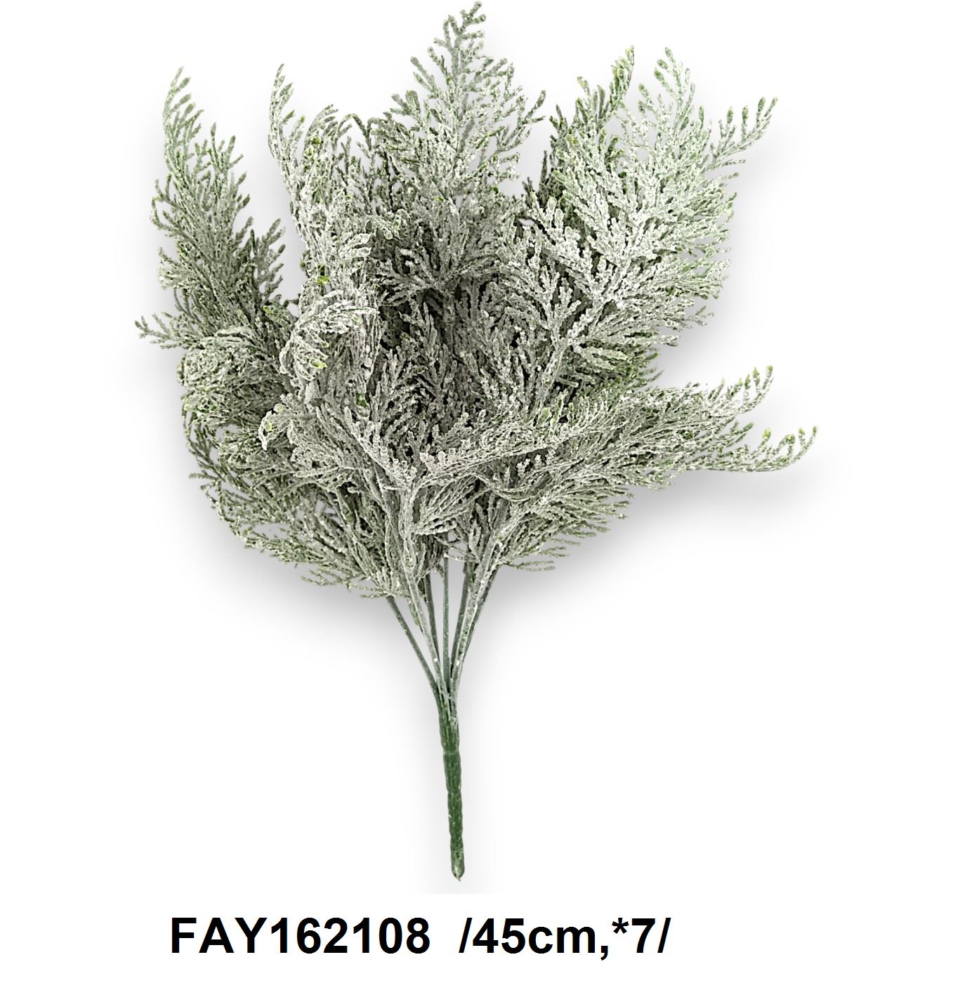 Havas, jeges tuja bokor /45cm,*7/