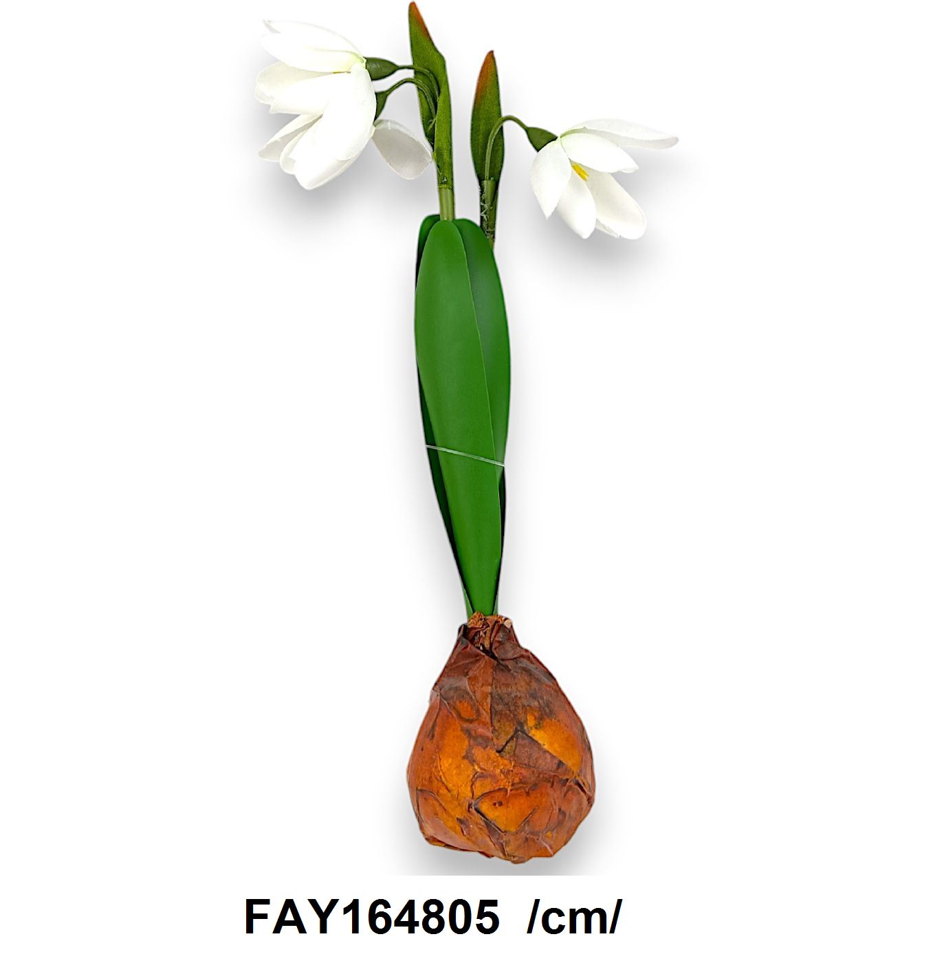 Hagymás hóvirág /19cm/