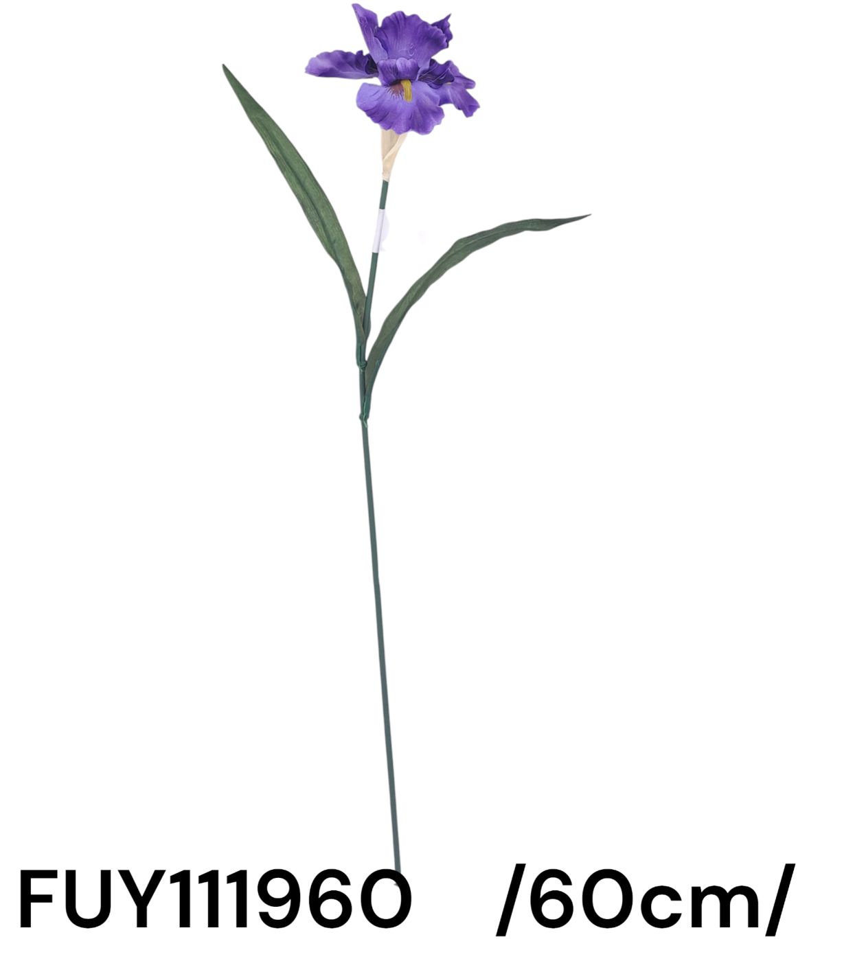 60cm MP szálas írisz, két levéllel