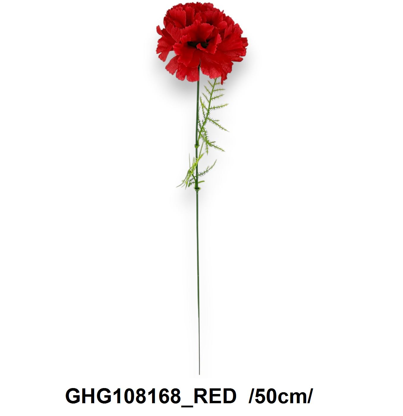 Szálas, szegfû, aszparágusszal /50cm/