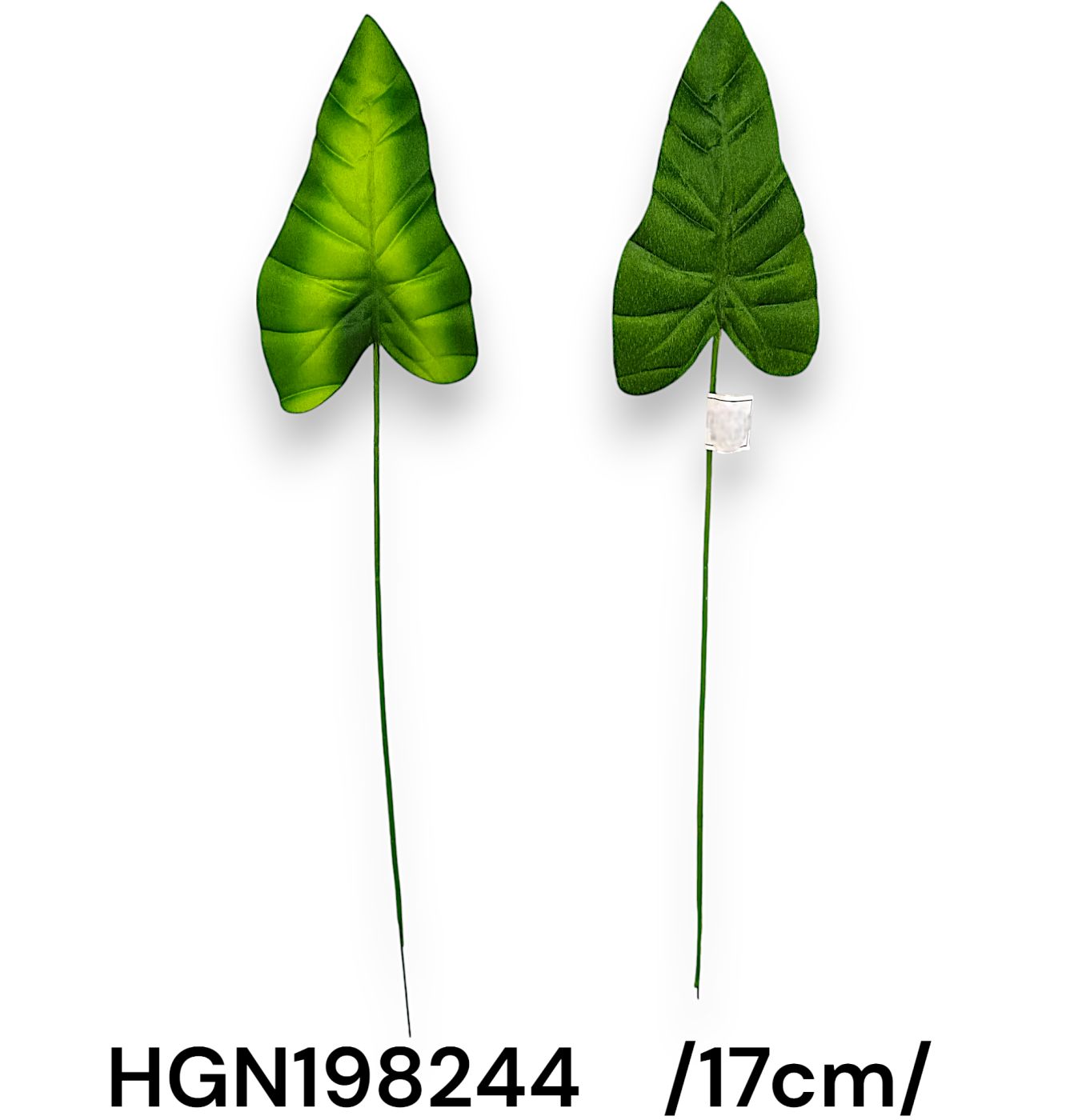 Syngonium levél, szatén /17cm/
