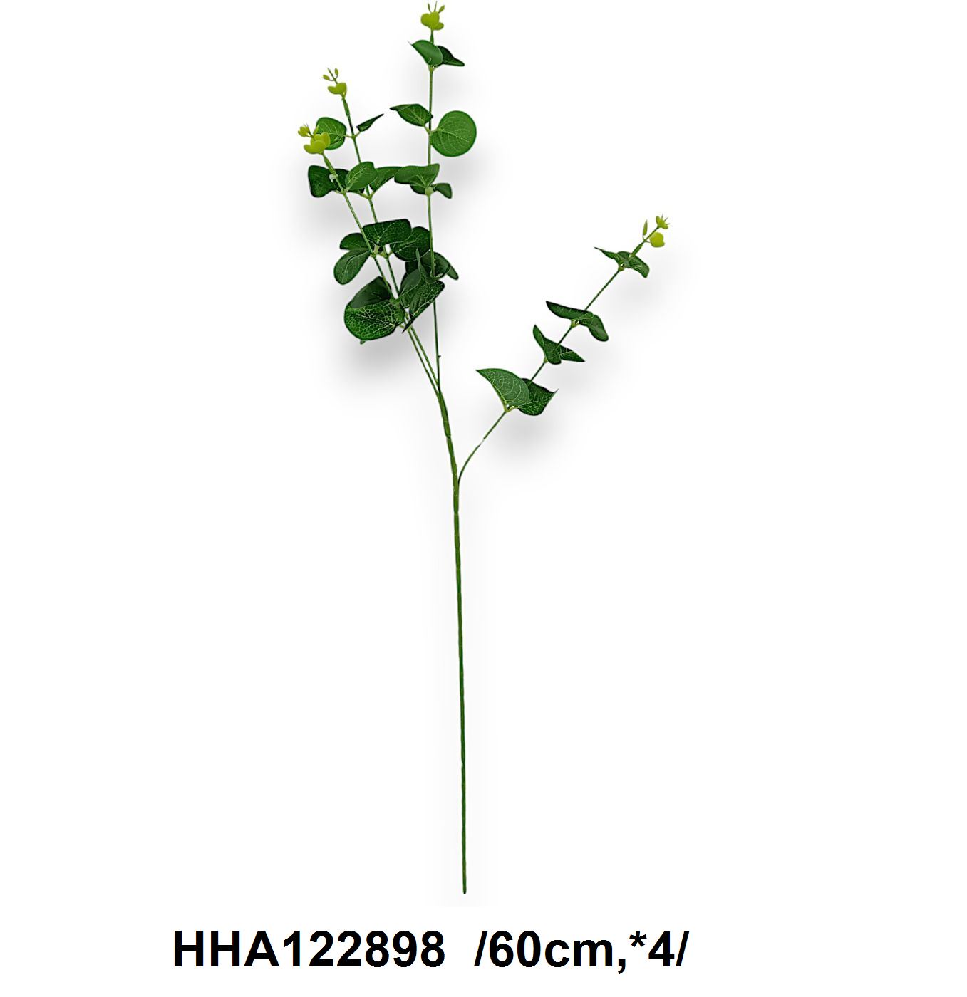 Eukaliptuszág /60cm,*4/
