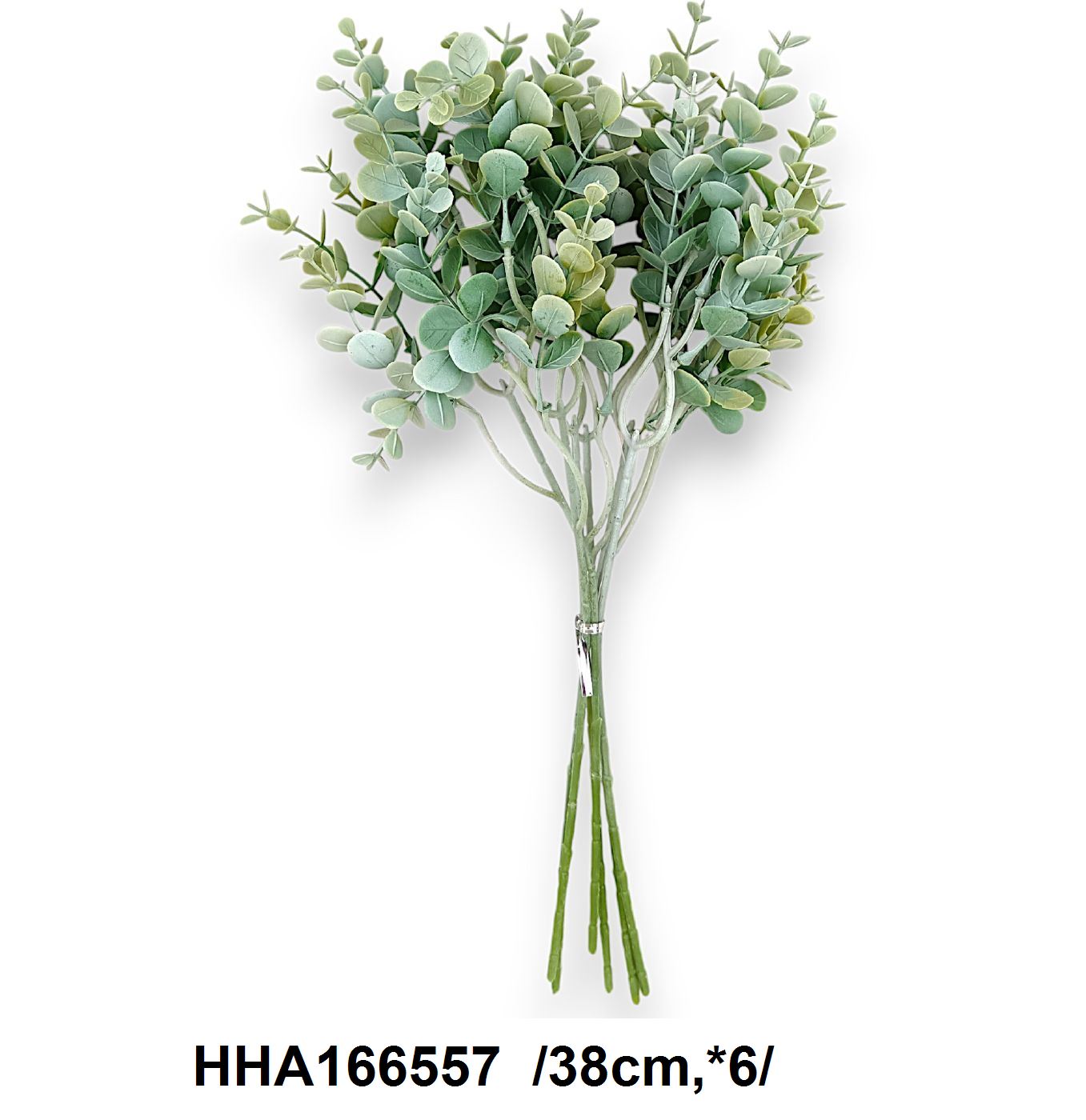 Hamvas eukaliptusz köteg /38cm,*6/