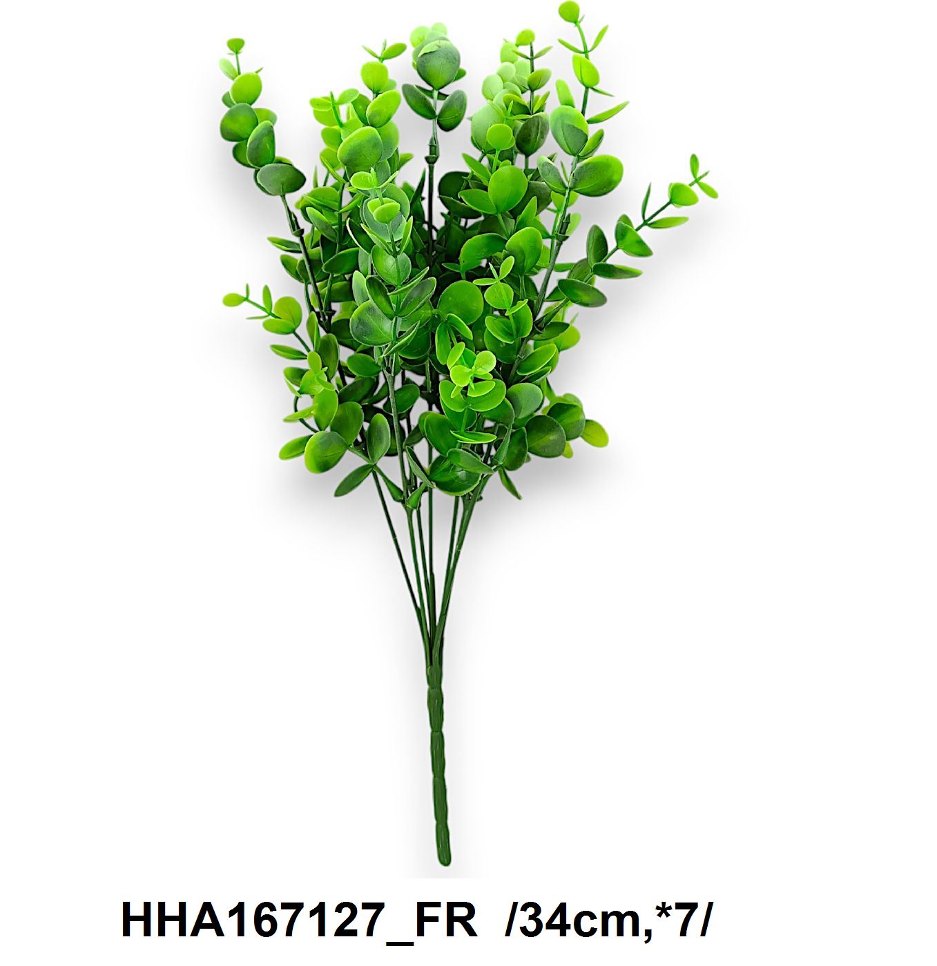 Eukaliptuszbokor *7 34cm