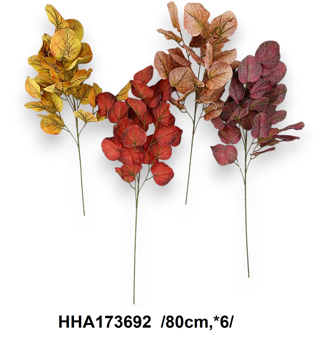 Szálas eukaliptusz ág /80cm,*6/