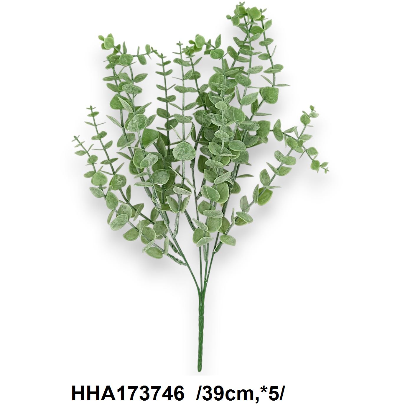Hamvas eukaliptusz bokor /39cm,*5/
