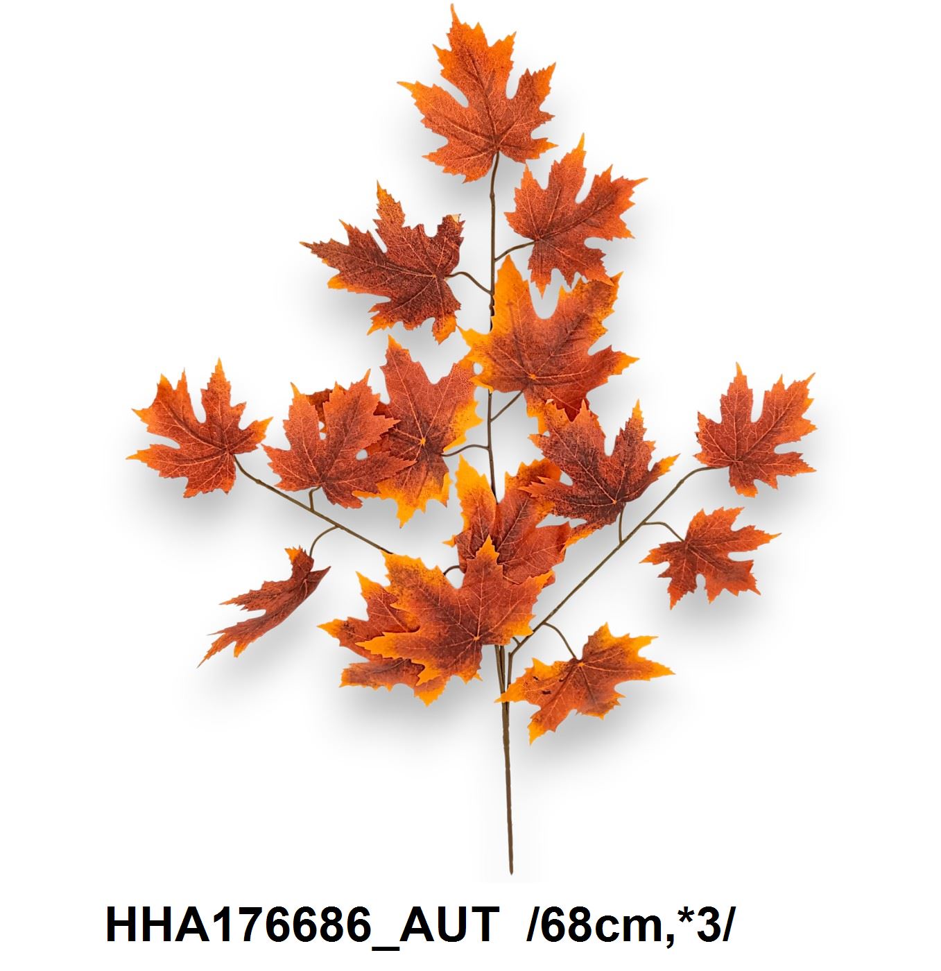 Juhar leveles ág /68cm,*3/