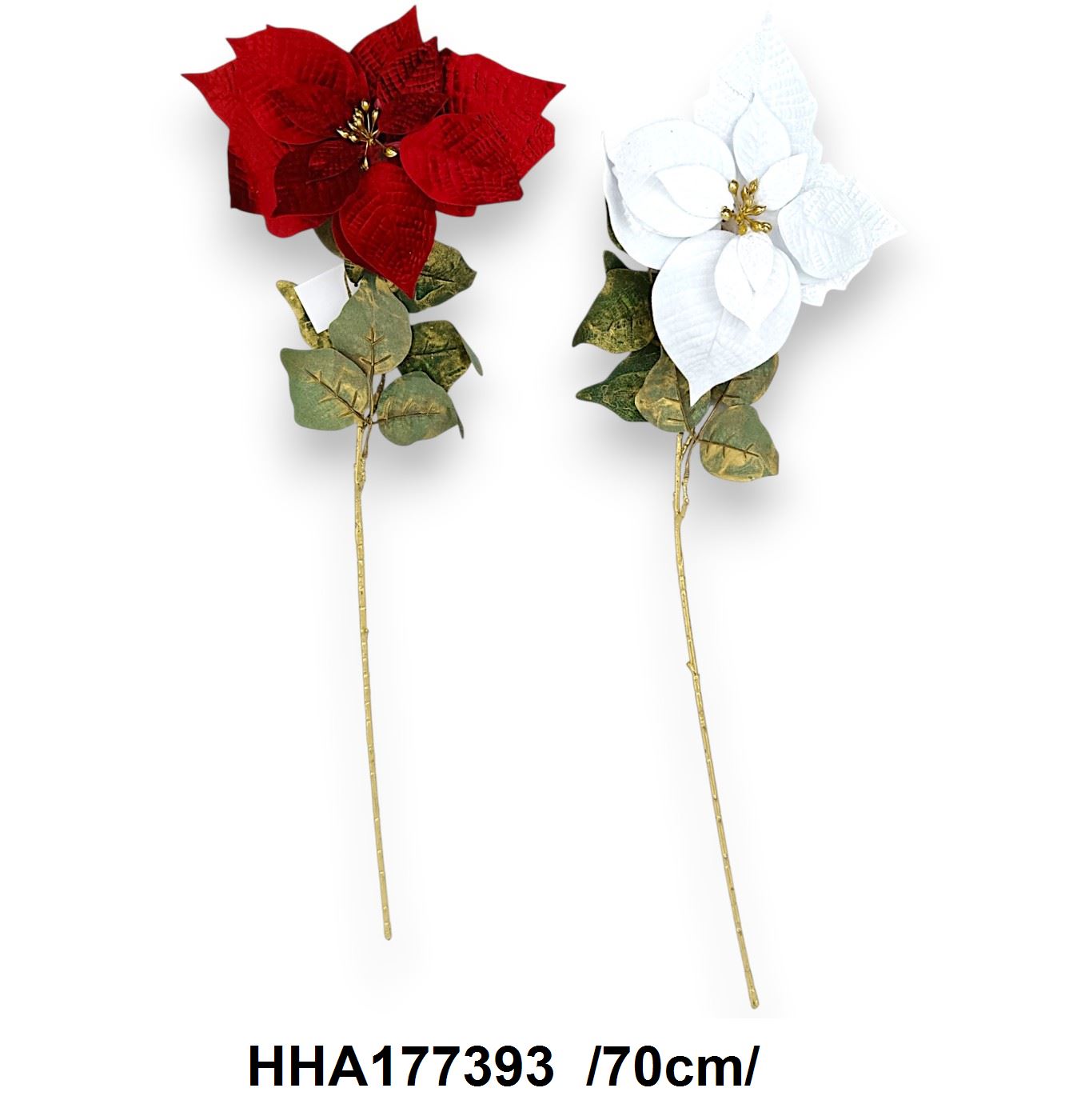 Szálas, bársony mikulásvirág /70cm/