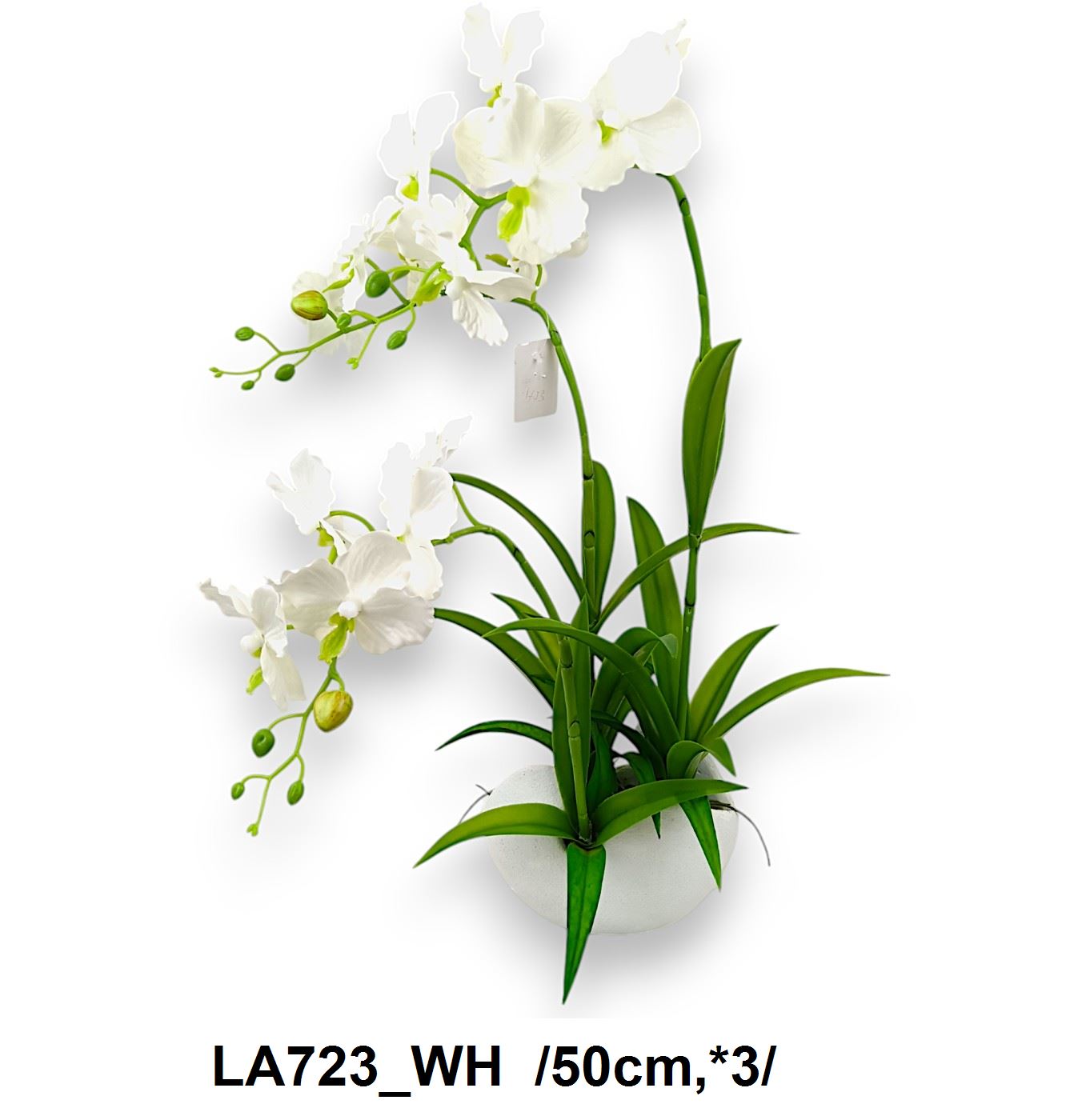 Kaspós vandaorchidea /50cm,*3/