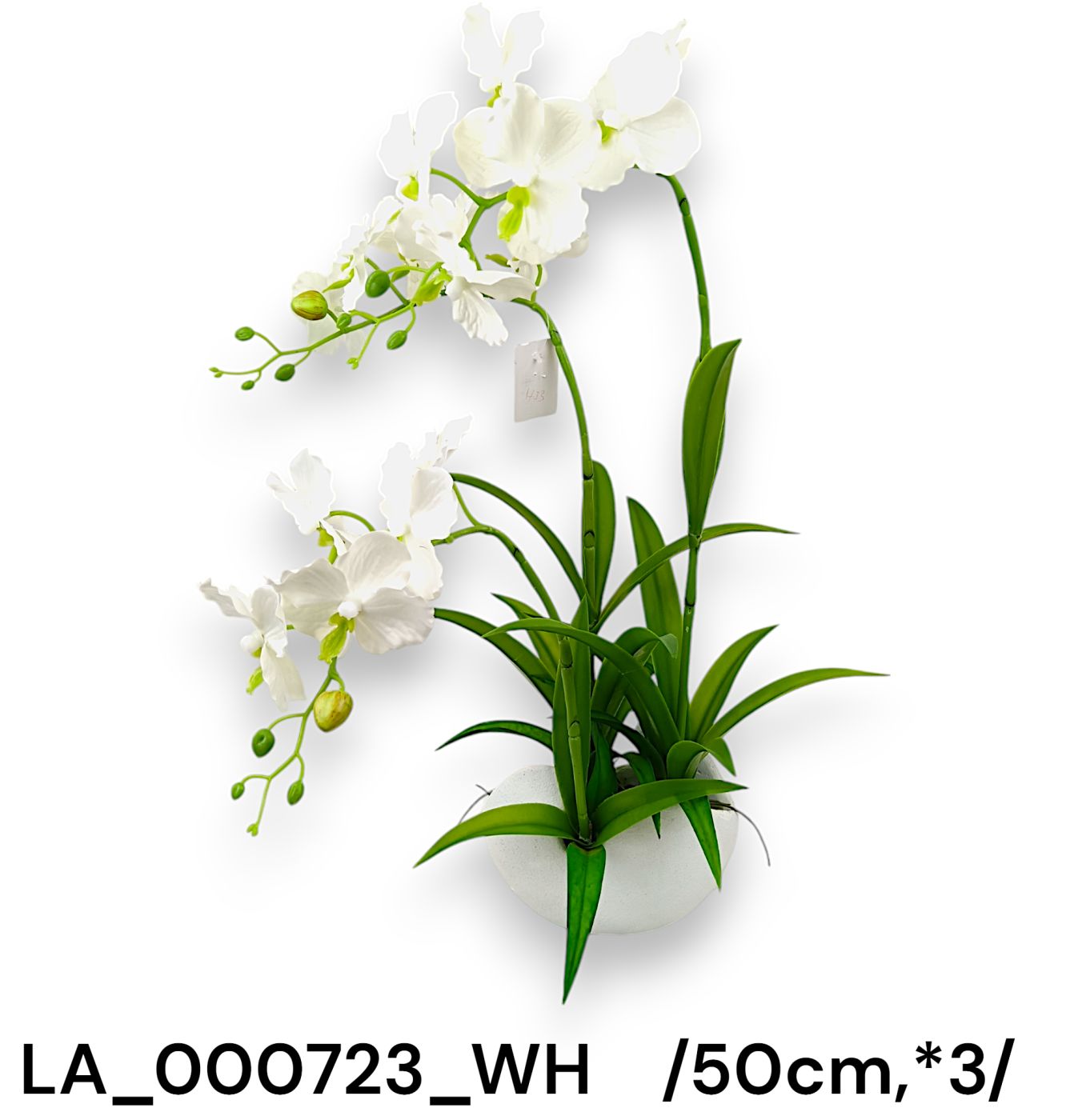 Kaspós vandaorchidea /50cm,*3/