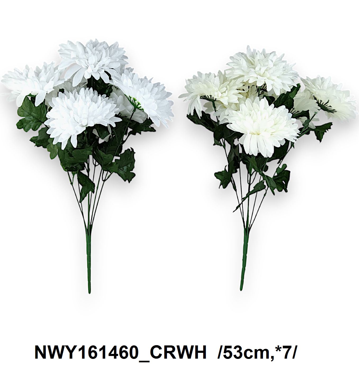 laposfejû krizi csokor *7