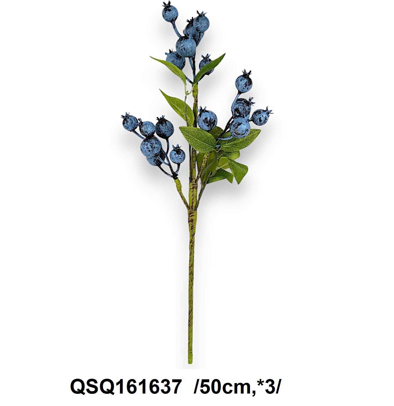 Kökénybogyóság /50cm,*3/