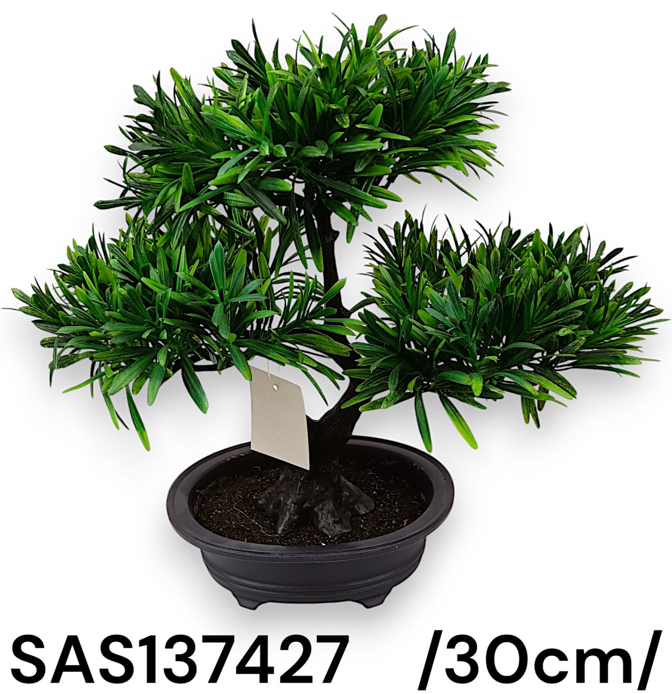 Cserepes bonsai fa /30cm/