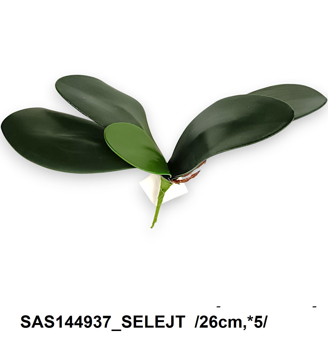 Orchidea levél, élethû gyökérrel /26cm,*5/