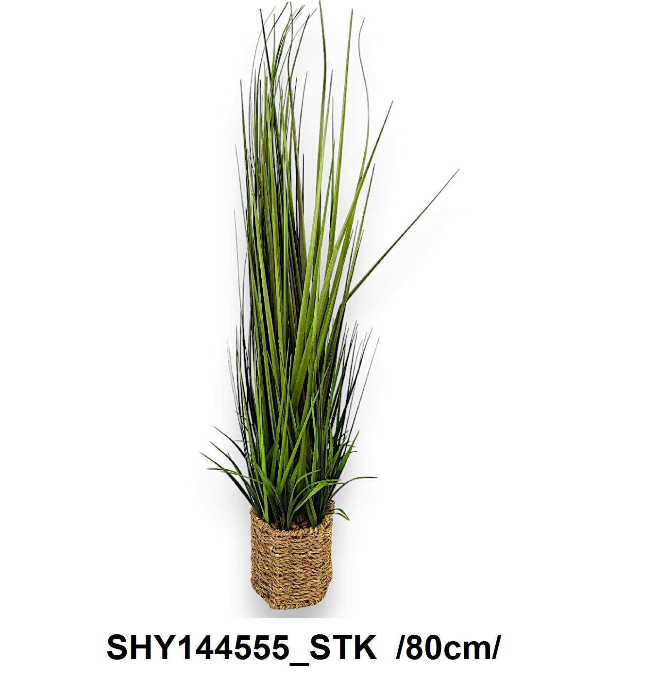 80 cm sás rattan kaspóban