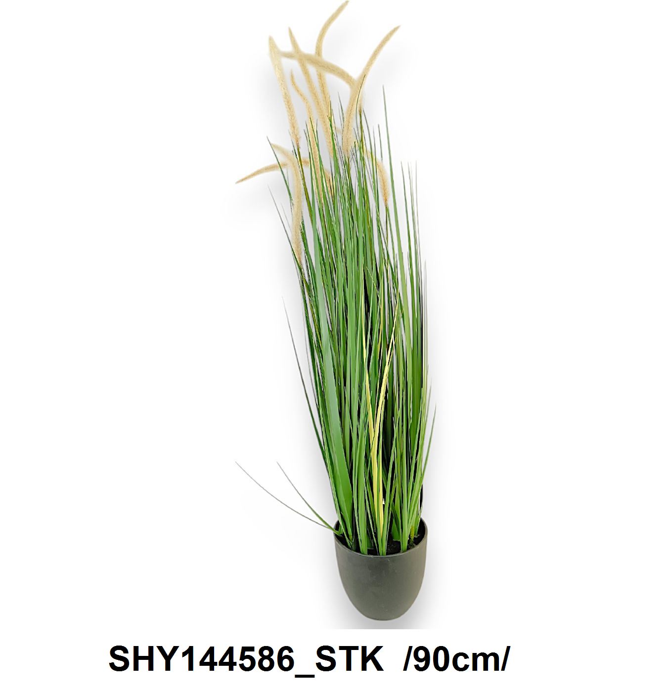 90 cm pampafüves sás cserépben