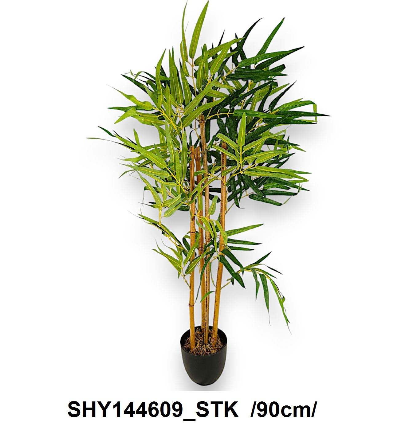 90 cm bambuszfa cserépben