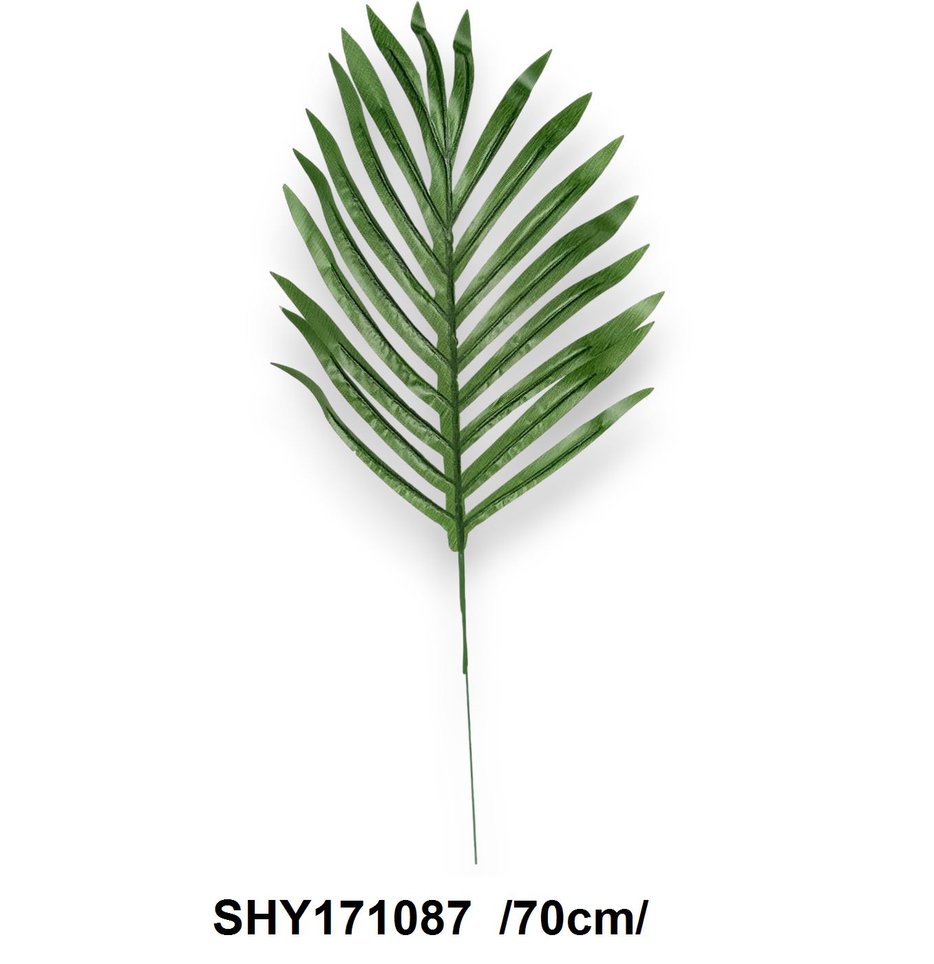 Cikász pálmalevél /70cm/