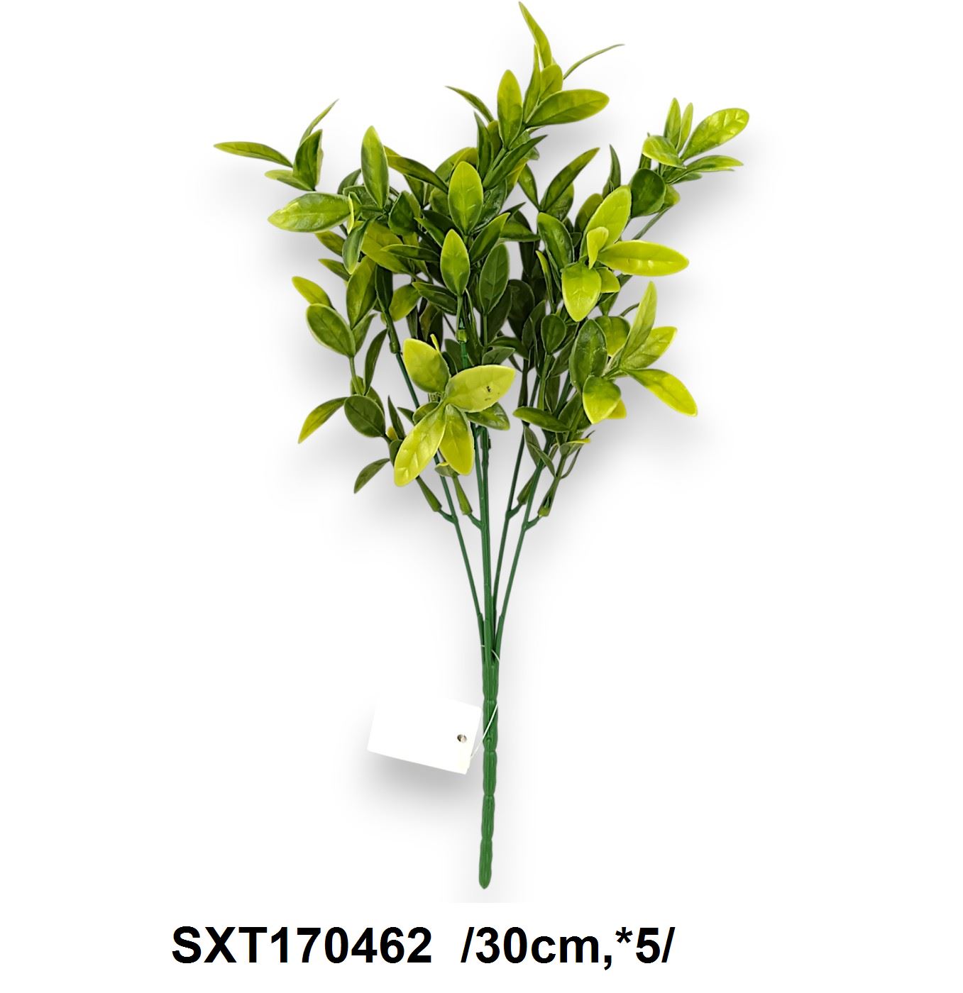 Leveles bokor, mûanyag /30cm,*5/