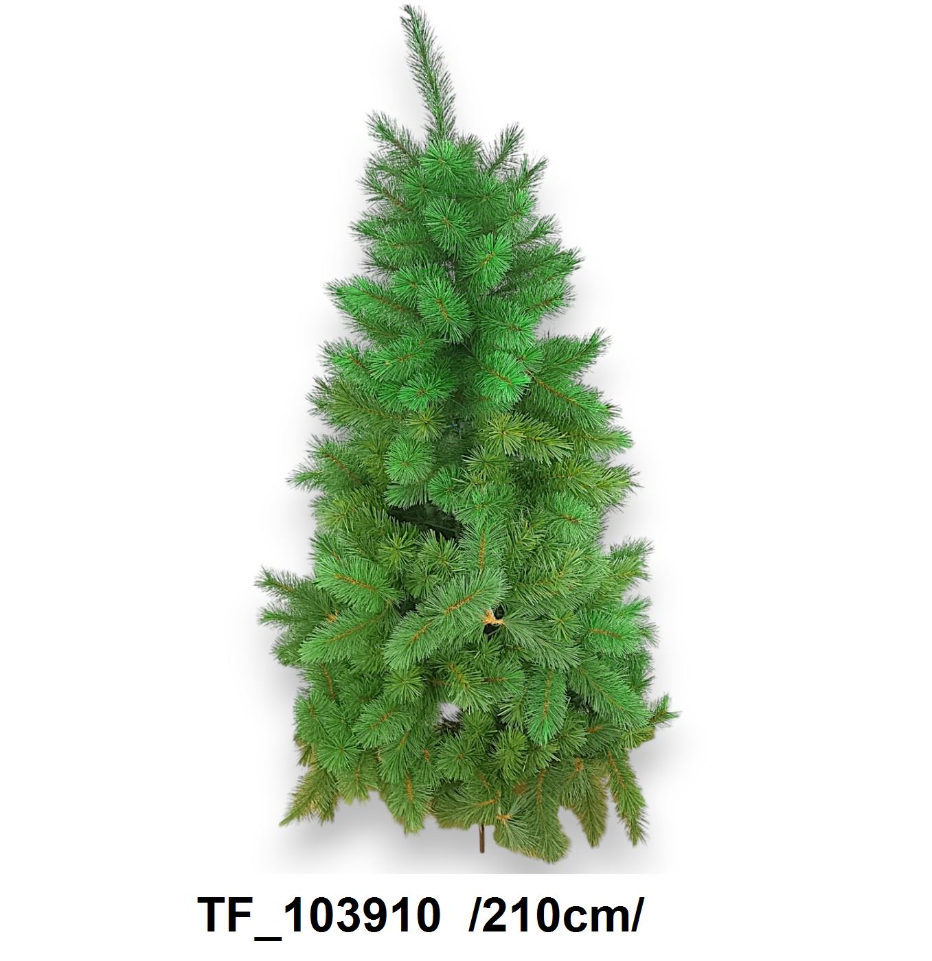 Colorado lucfenyõ, 698 ággal /210cm/