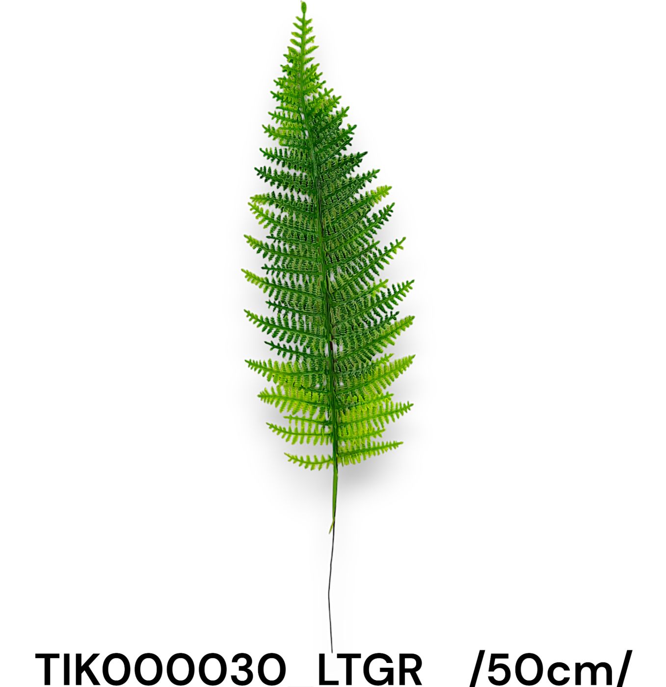 páfrányleveles ág50 cm