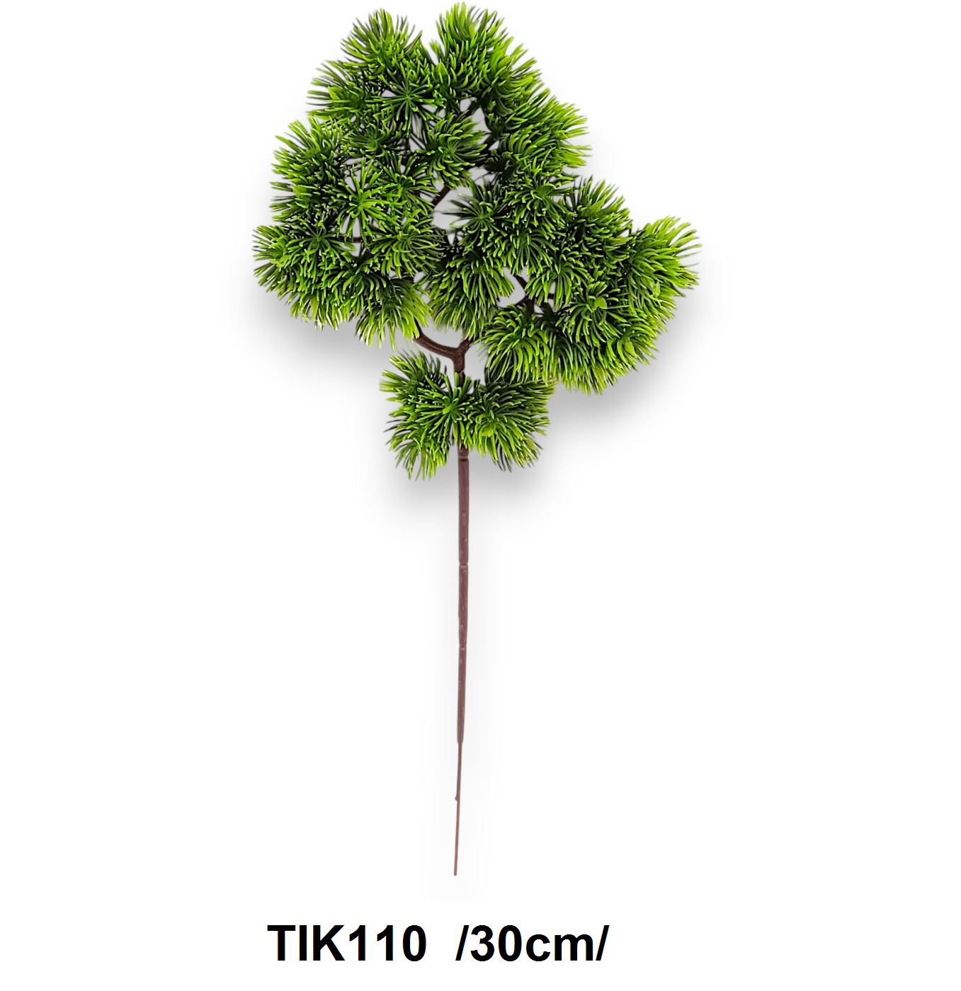 Bonsaifenyõ ág  /30cm/