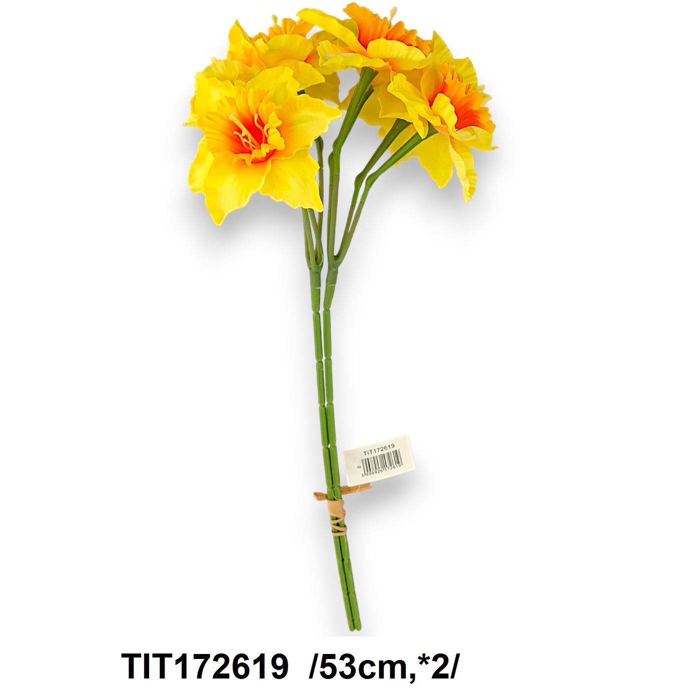 Nárcisz köteg /53cm,*2/