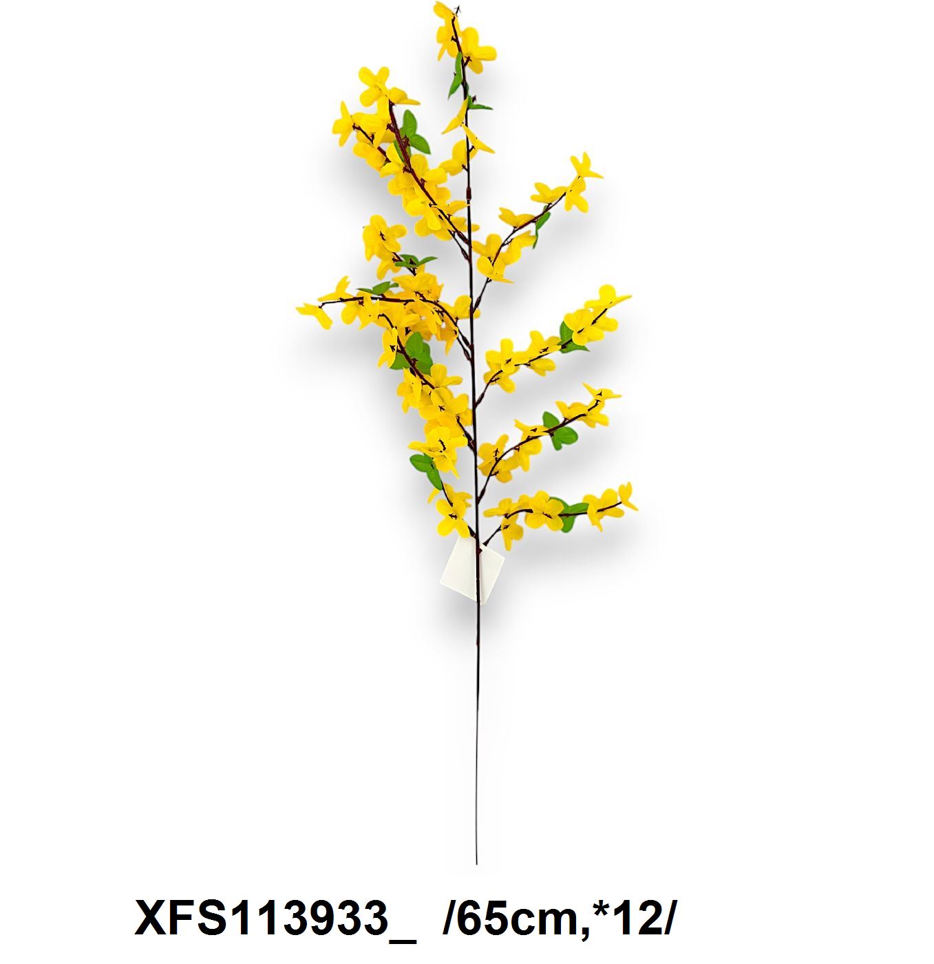 aranyesõ ág *12 65 cm; 12/köteg/zacsi, db ár