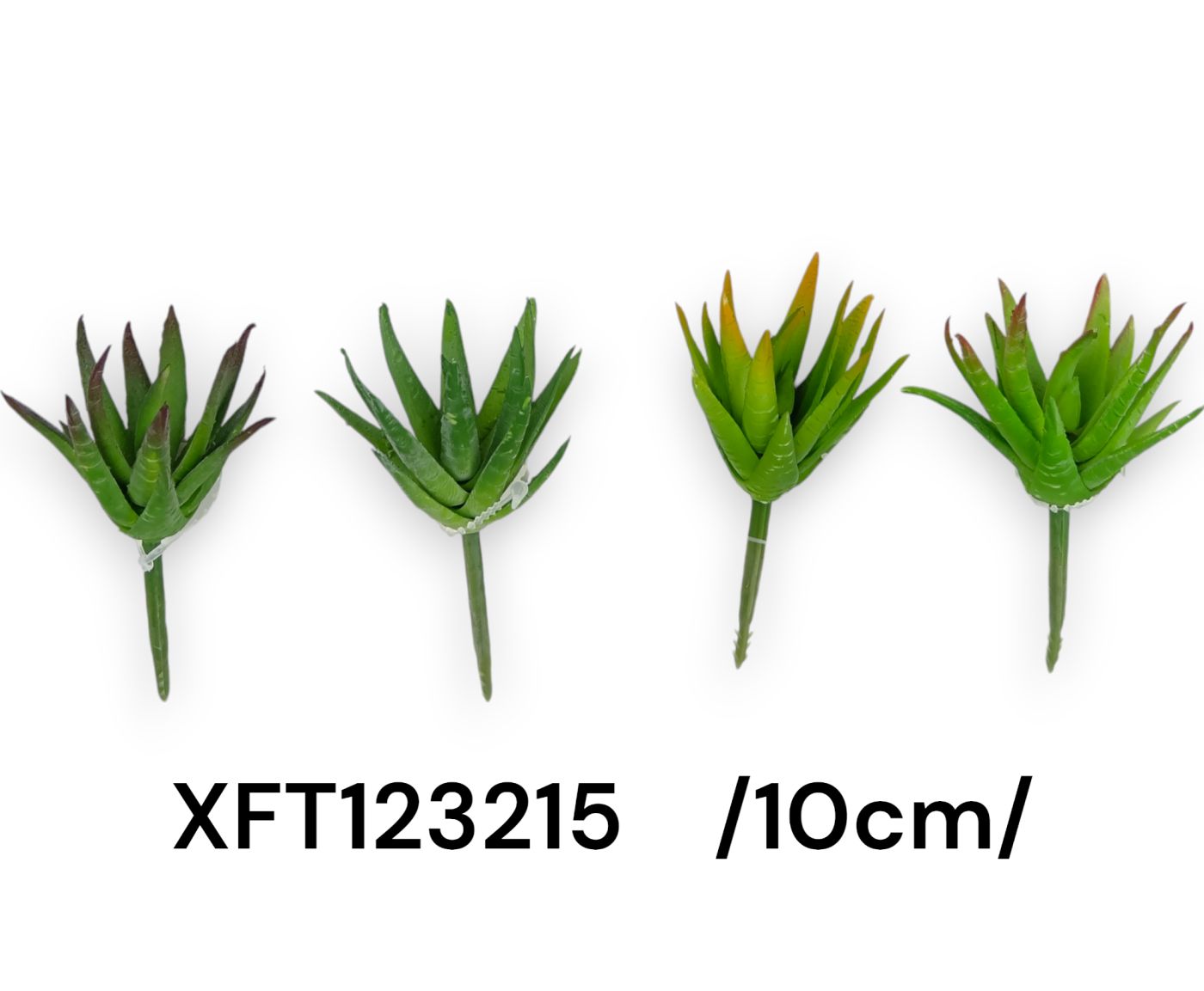 kis agave pick