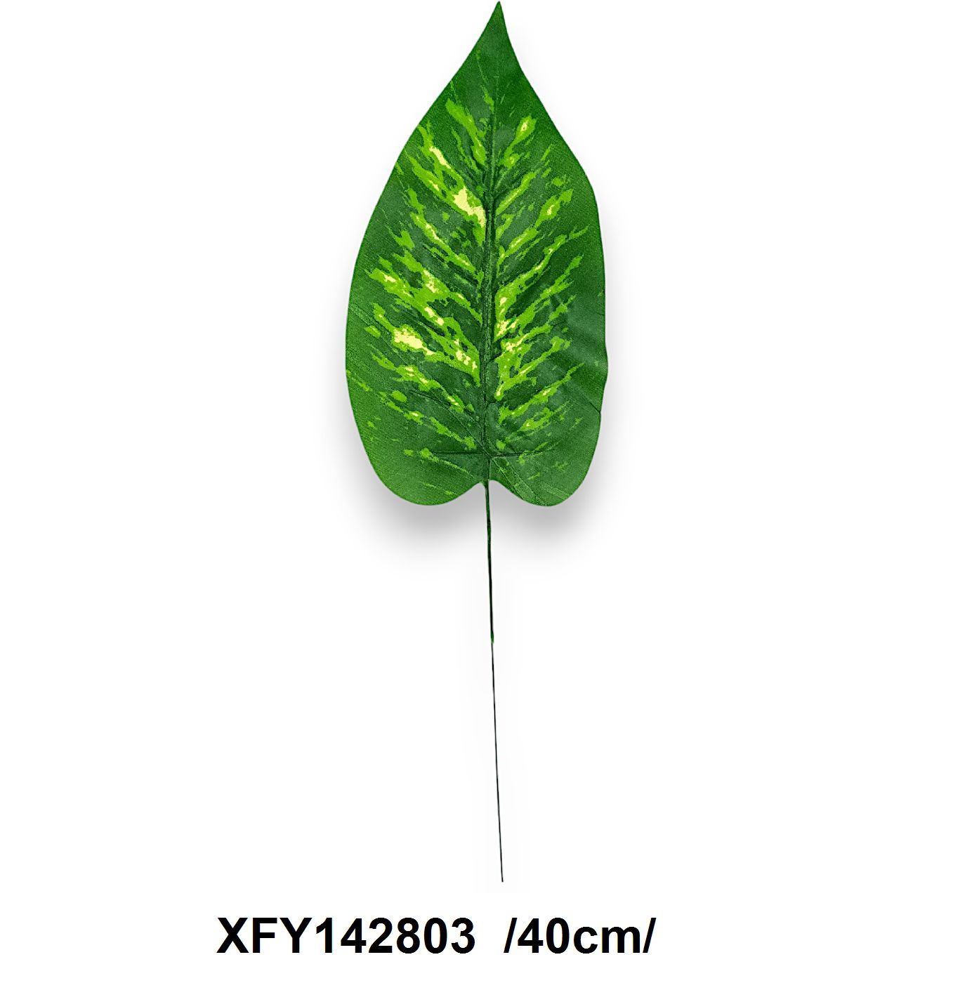 Mintás kis dieffenbachia levél /40cm/