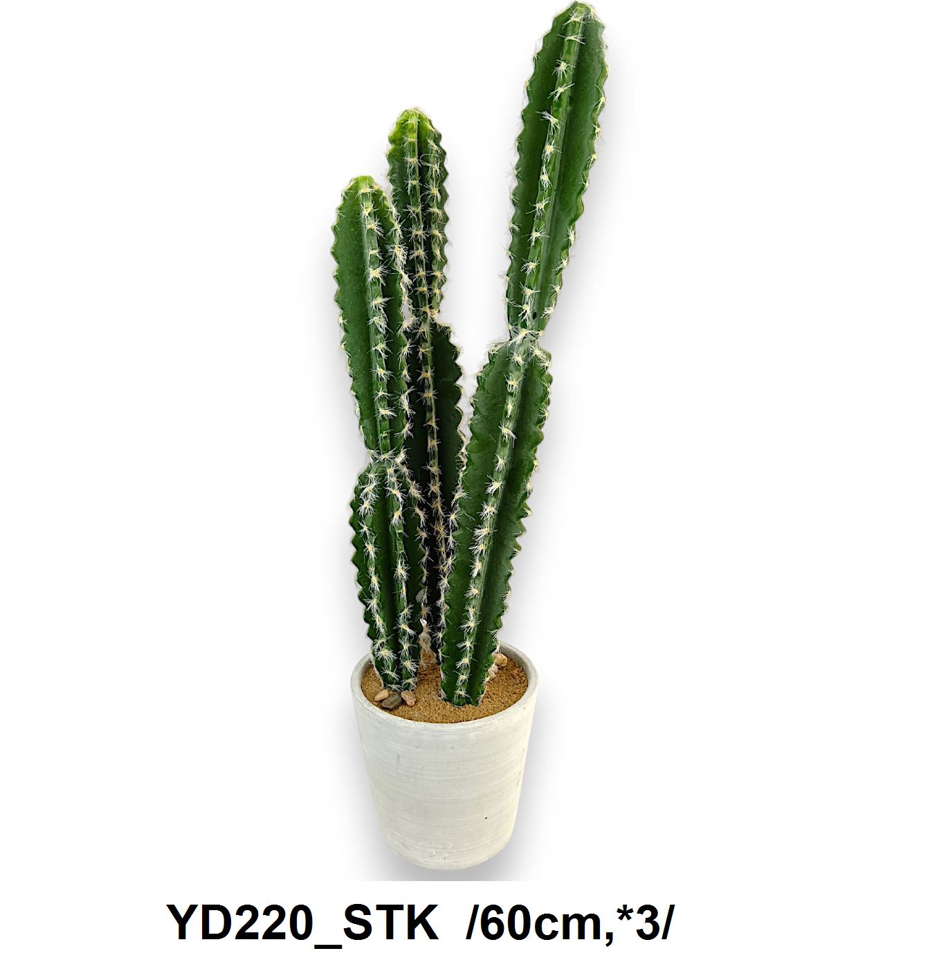 Kaktusz kaspóban /60cm,*3/